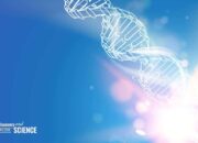 Pengertian Dan Proses Rekayasa Genetika